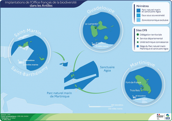 Carte de l'implantation de l'OFB aux Antilles