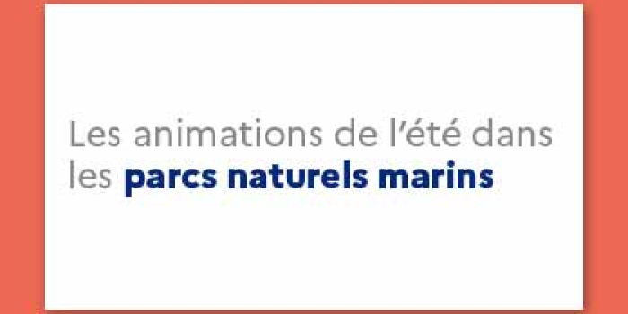 Les animations de l'été dans les parcs naturels marins