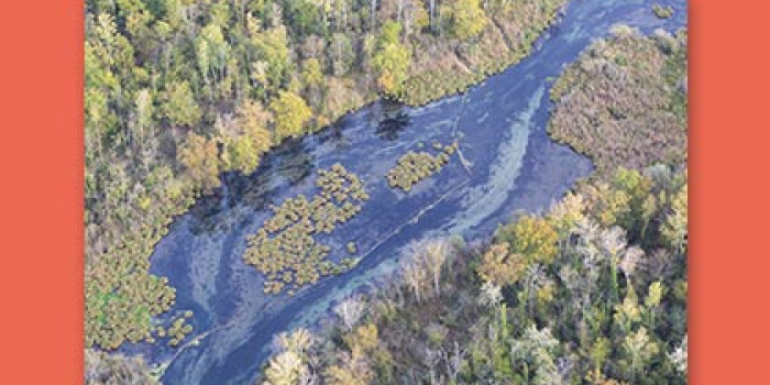 Colloque sur le renouveau du sauvage