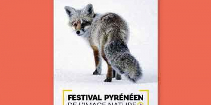 Festival pyrénéen de l’image nature 2023