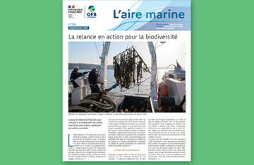 L'Aire marine n°53