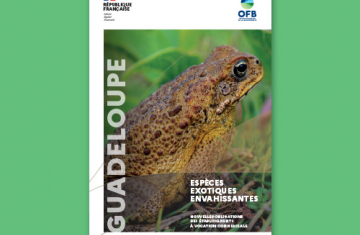 Couverture de la plaquette "Guadeloupe - Espèces exotiques envahissantes - Nouvelles obligations des établissements à vocation commerciale"