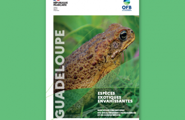 Couverture de la plaquette "Guadeloupe - Espèces exotiques envahissantes - Nouvelles obligations des établissements de recherche et de conservation"