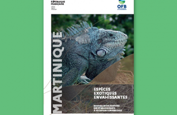 Couverture de la plaquette "Martinique - Espèces exotiques envahissantes - Nouvelles obligations des établissements à vocation commerciale"