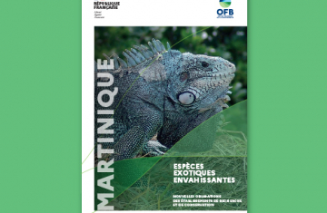 Couverture de la plaquette "Martinique - Espèces exotiques envahissantes - Nouvelles obligations des établissements de recherche et de conservation"