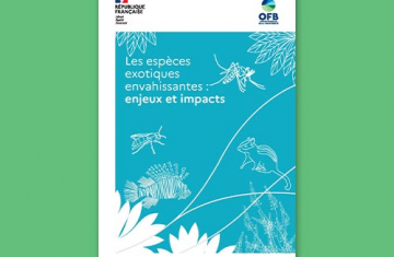 Les espèces exotiques envahissantes : enjeux et impacts