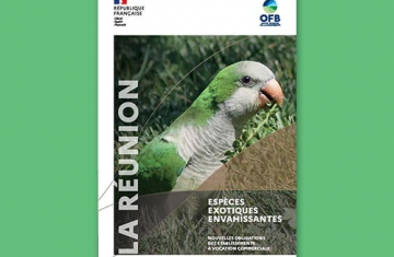 La Réunion - Espèces exotiques envahissantes - Nouvelles obligations des établissements à vocation commerciale