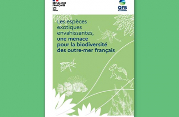 Les espèces exotiques envahissantes, une menace pour la biodiversité des outre-mer français