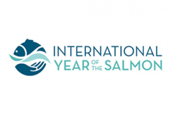 Logo de l'année internationale du saumon