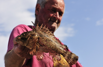 En Méditerranée française, l’activité de pêche est représentée par ce qu’on appelle les "petits métiers", une pêche artisanale, non loin des côtes, avec des temps de sortie à la journée, ou de 1 à 3 jours. Frédéric Larrey
