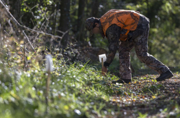 Chasseur de grand gibier au poste en tenue camouflée et vêtement de sécurité de couleur orange. Crédit photo : Philippe Massit / OFB