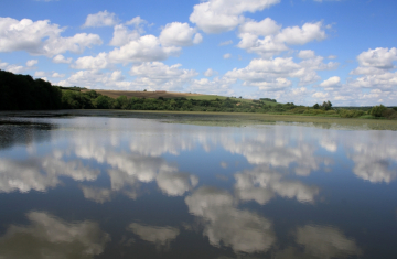 Le vieil étang de Bairon, un site Natura 2000. Crédit photo : Delphine Cury / OFB