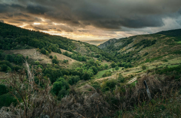 Crédit: Antoine Forget / Office français de la biodiversité