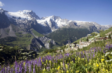 Crédit: Parc national des Ecrins / Pascal Saulay