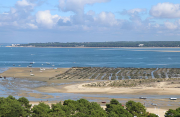 Paysage du Parc naturel marin du Bassin d'Arcachon. Crédit photo : Romuald Chaigneau / OFB