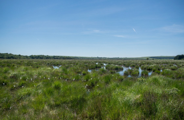 Réserve Naturelle Nationale du Venec. Crédit photo : V. Herledan