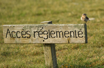 Panneau de la réserve de chasse et de faune sauvage Ile de Béniguet. Crédit photo : Gaël Moal / OFB
