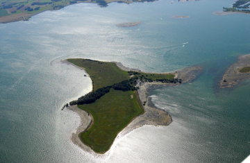 Ile de Chantecoq. Crédit photo : Office français de la biodiversité