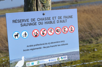 La réserve de chasse et de faune sauvage du Hâble d'Ault. Crédit photo : Nathalie Chevallier / OFB