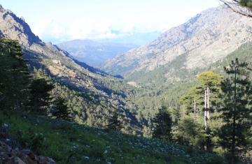 La réserve de chasse et de faune sauvage de Tartagine. Crédit photo : OFB