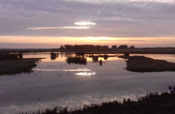 Lever de soleil sur la réserve de chasse et de faune sauvage de Terres d'Oiseau. Crédit photo : M. Fayet