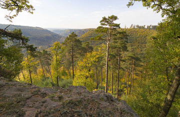 La réserve nationale de chasse et de faune sauvage de la Petite-Pierre