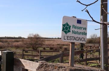 Réserve naturelle nationale de l’Estagnol. Crédit photo : Rémi Knaff / OFB