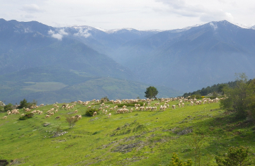 La réserve naturelle nationale de Jujols. Crédit photo : Karine Geslot