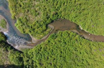 Plan d'eau de la Chaize effacé, dans le département des Deux-Sèvres (79). Crédits : Michel Bramard / Office français de la biodiversité