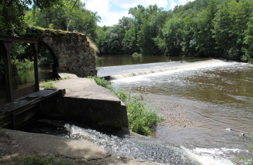 Rivière de l'Alagnon. Crédit photo : Lucinda Aissani / OFB