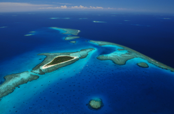 Mer de corail. Crédit photo : Martial Dosdane