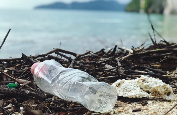 Les déchets plastiques laissés sur les plages polluent les océans. Crédits : Catherine Sheila / OFB