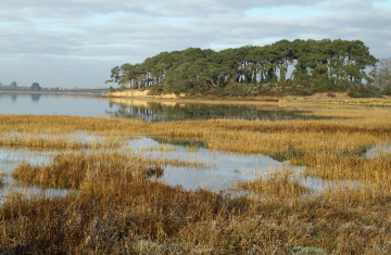 Le Golfe du Morbihan. Crédit photo :  R. Robin / OFB
