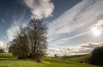 Haie et bosquet au printemps dans un paysage vallonné et verdoyant. Crédit: Sébastien Lamy / Office français de la biodiversité