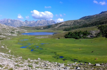 Le lac de Nino, source du Tavignano, est situé sur le plateau du Camputile. Il est entouré de pozzines, sortes de petits lacs tourbeux. Crédit photo : Franck Fetzner 