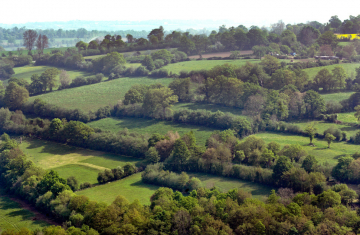 Paysage du bocage normand. Crédit photo : Laurent Mignaux / TERRA