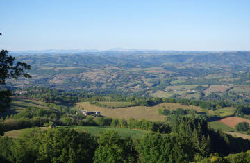 Réseau de haies en Aveyron. Crédit photo : P. Gourdain