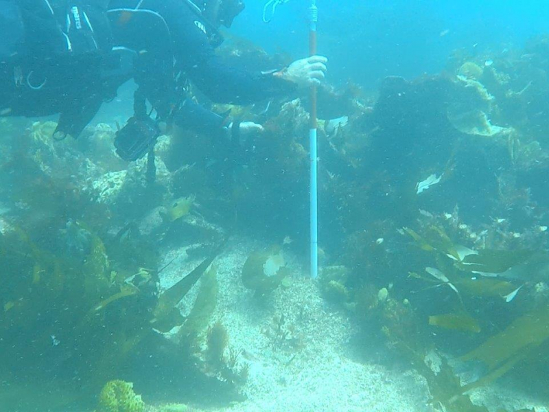 Un plongeur prend des mesures sur un site archéologique sous-marin. Crédit : Alexandre Guyot / Université Rennes 2 : 