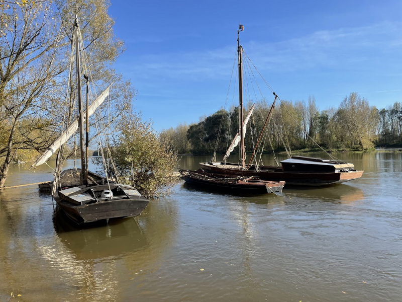 La Rabouilleuse est une association située près de Tours proposant des balades au fil de la Loire. Crédits : Perrine Riaza-Wallet / OFB