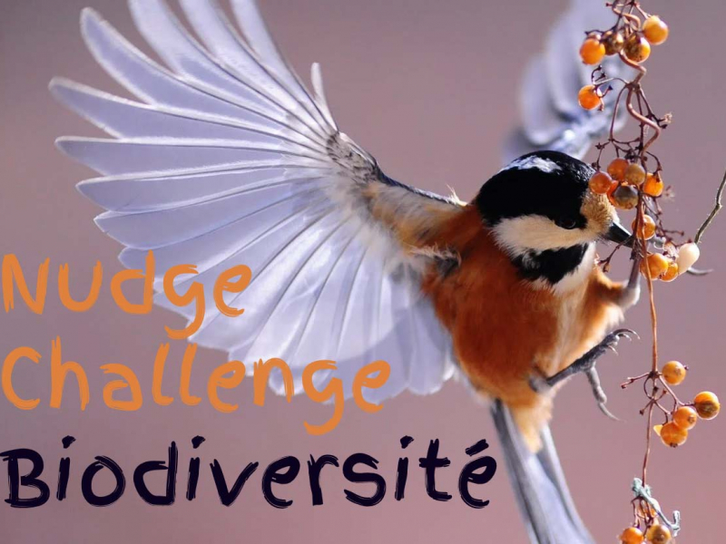 Nudge Challenge Biodiversité