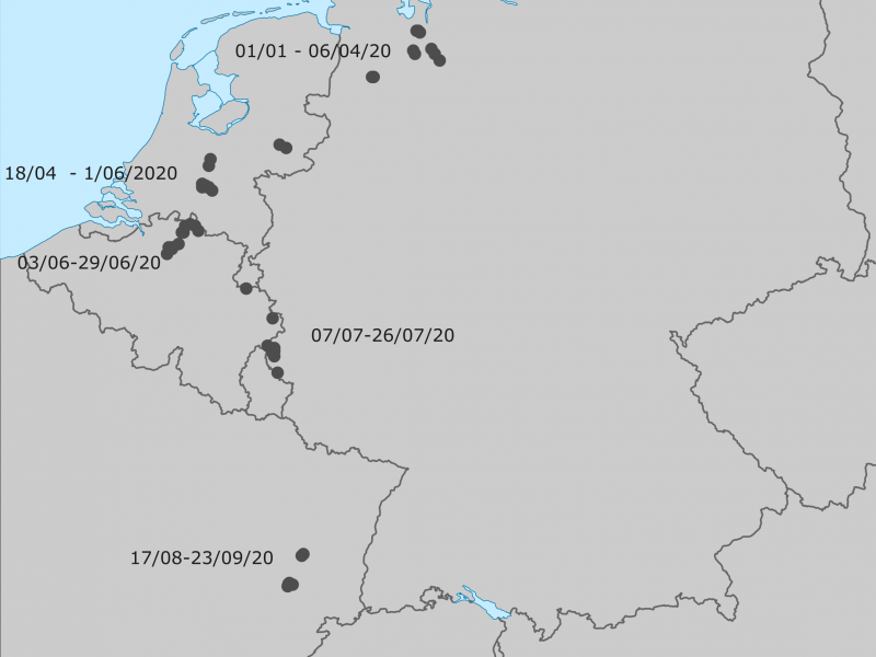 Carte illustrant les déplacements du loup GW1554m entre janvier et septembre 2020. Crédit : INBO