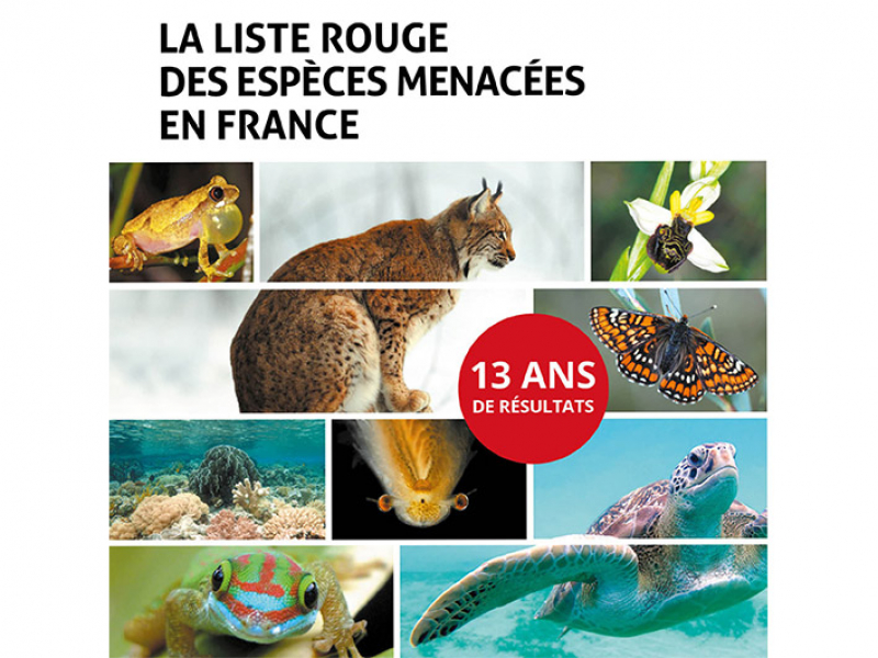 Couverture du bilan des 13 ans de la Liste rouge des espèces menacées en France.