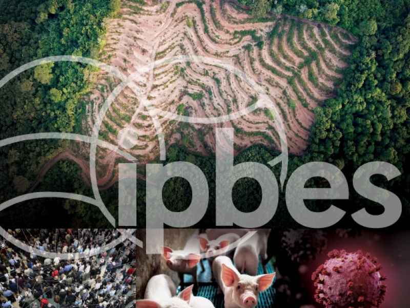 IPBES