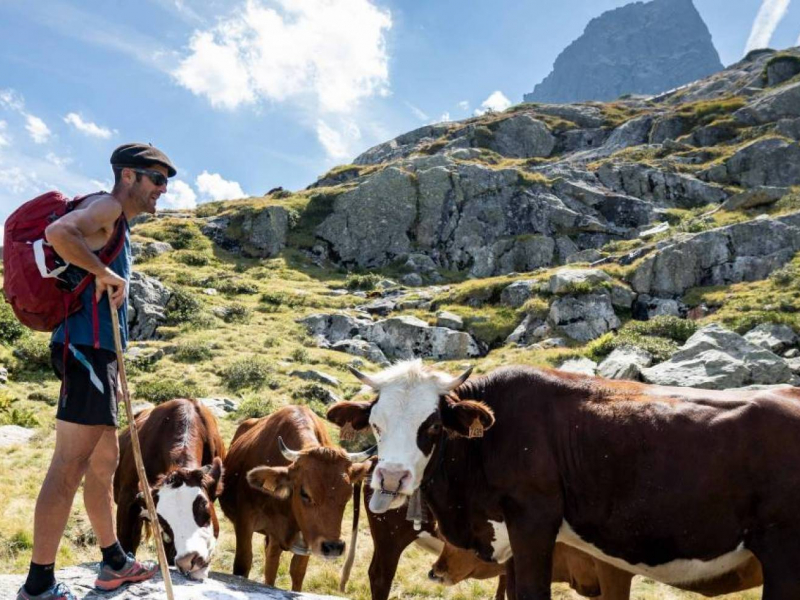Crédit photo : AE Media - Pierre Meyer / Parc national des Pyrénées