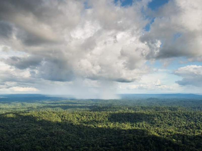 Vue aérienne sur le secteur du Grand Abounami. Crédit photo : Tanguy Stoecklé