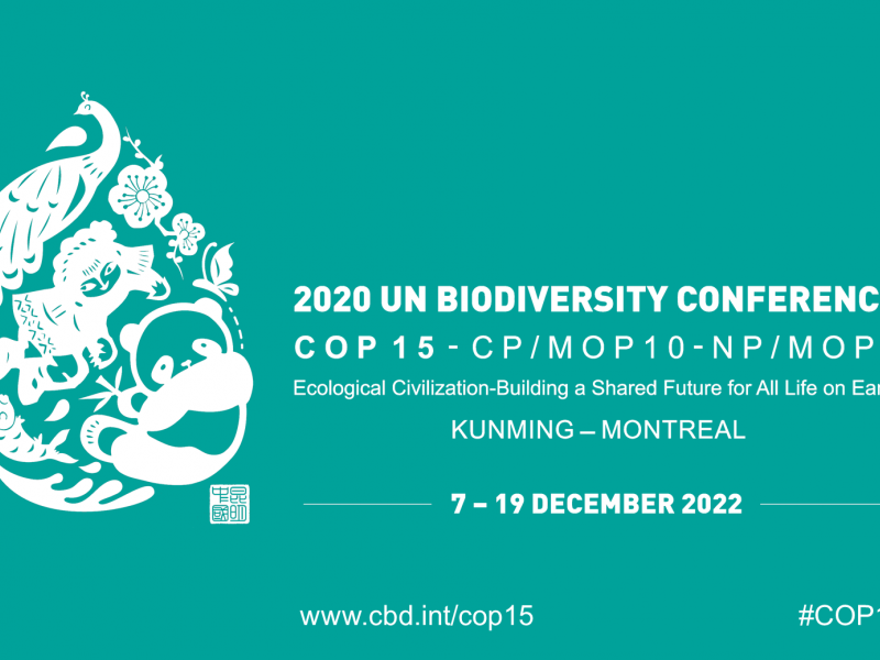 Logo of the COP15 of the Convention on Biological Diversity
