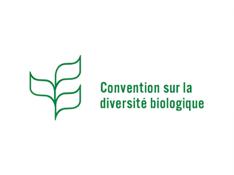Logo de la Convention sur la Diversité Biologique