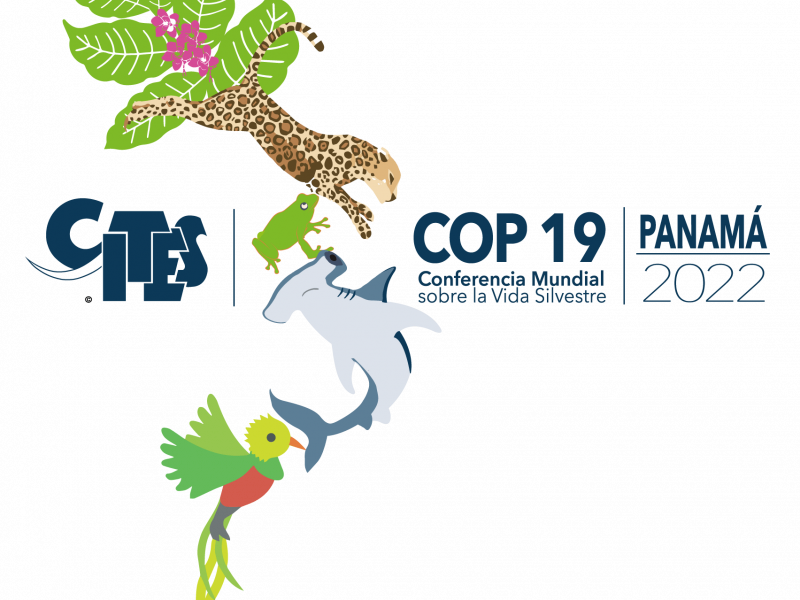 The OFB participates in the COP 19 CITES from 14 to 25 November 2022 in Panama City