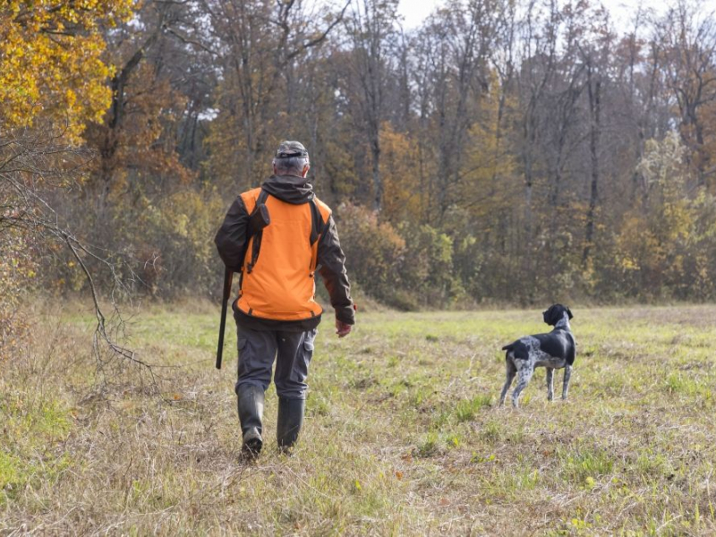 Chasseur de petits gibiers avec son chien. Crédit photo : Philippe Massit / OFB