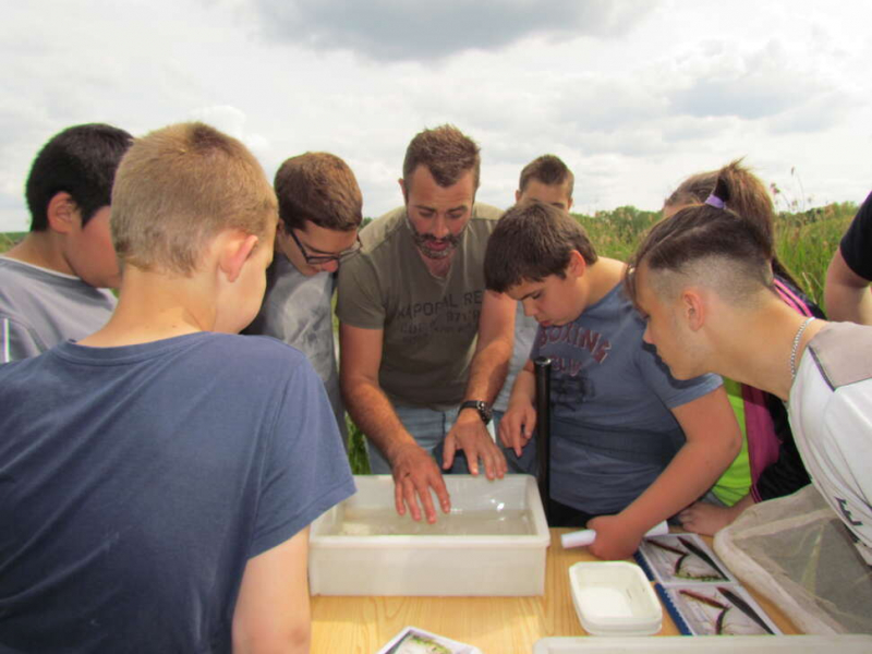 Fête de la nature 2019 au centre de formation du Paraclet. Crédit photo : Emilie Ryckebush / OFB